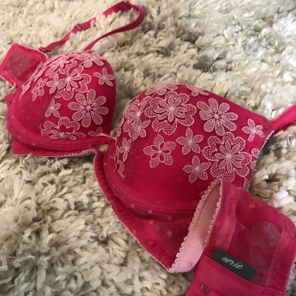 Aerie Daisy Flower Pink Push Up Bra - 32A